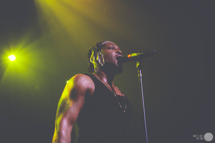 D'angelo-11