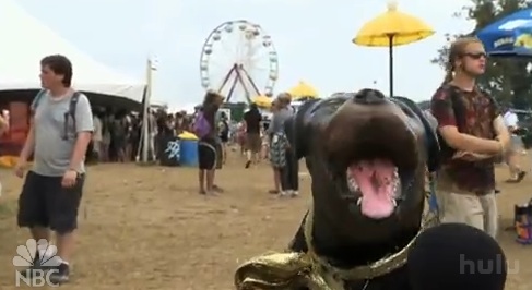Video: Triumph Takes on the Bonnaroo Crowd