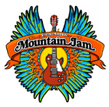 Mountain Jam Initial 2010 Lineup