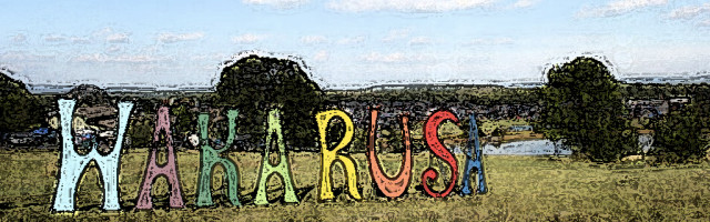 EPIC FESTIVAL RECAP: Wakarusa 2012