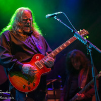 Gov't Mule
