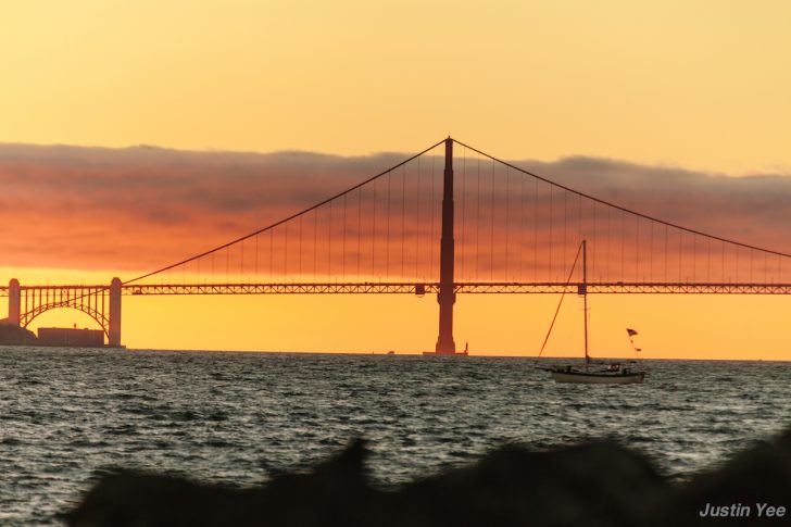 Treasure Island Music Festival Announces Hiatus