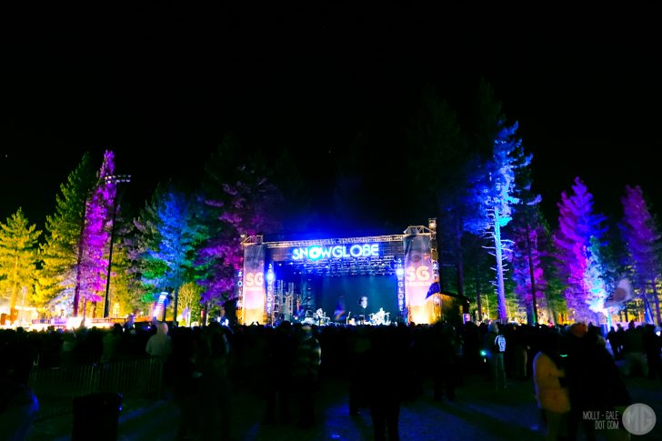 How I Learned To Survive The Tundra With Only Glowsticks and Faux Fur To Keep Me Warm: A SnowGlobe 2014 Recap