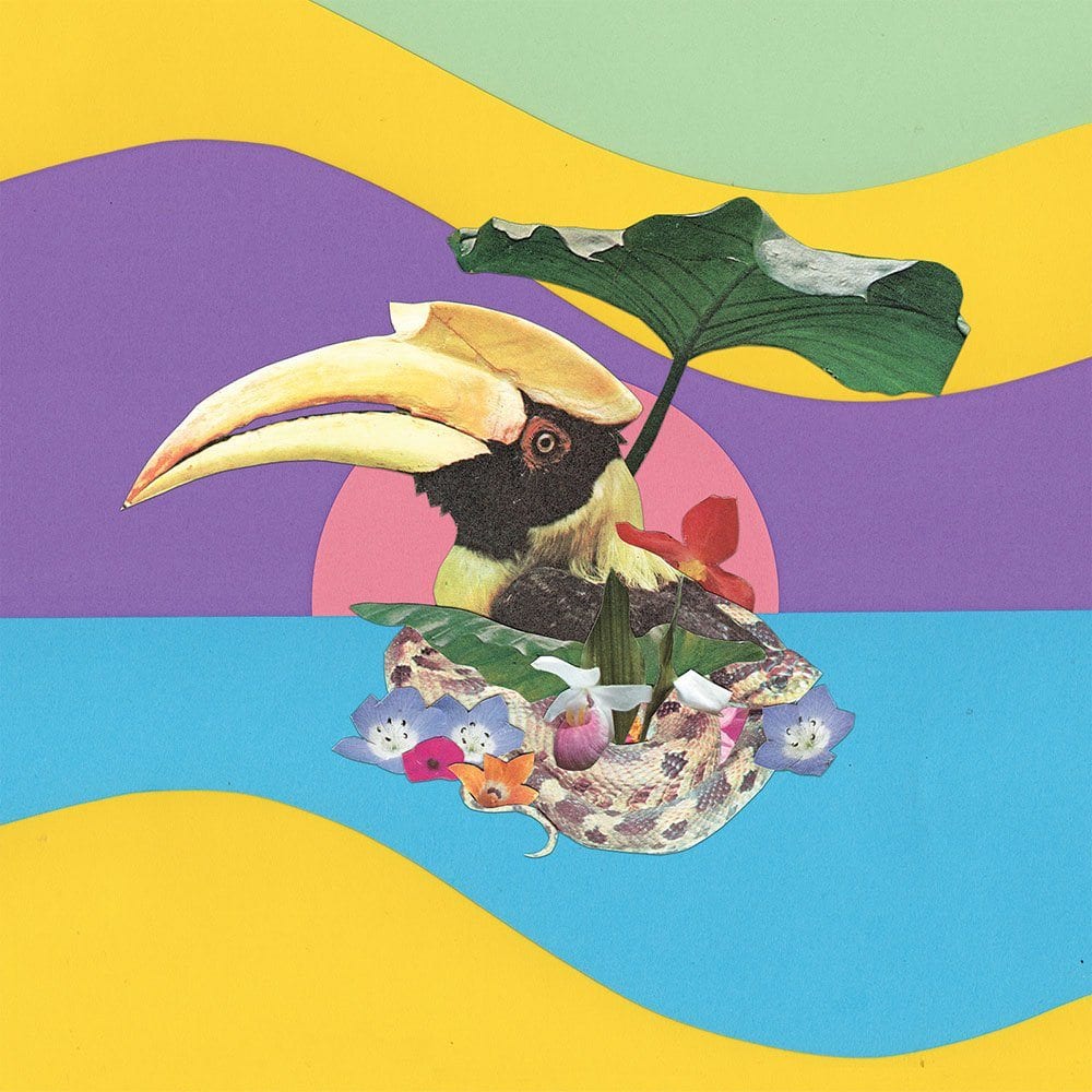 Monster Rally announces 'Flowering Jungle' LP, new single 