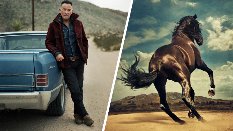 bruce western stars collage