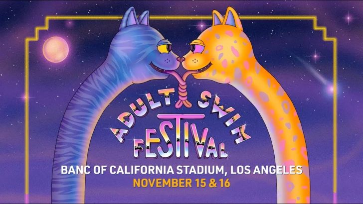 Adult Swim Festival 2019 Announced: Captain Murphy, Jamie xx, Lil Nas X & More