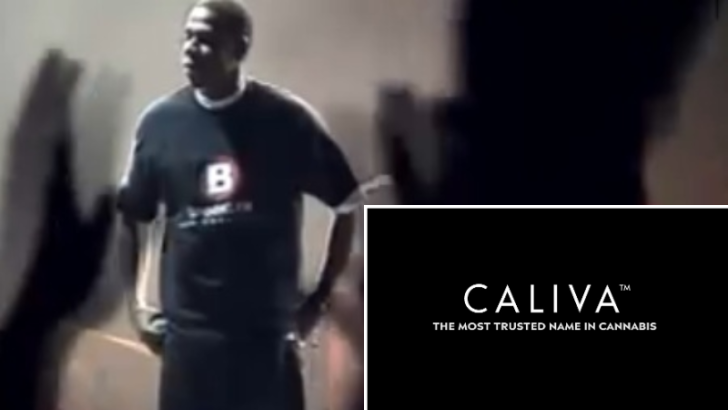 Jay-Z is Getting Into the Cannabis Game