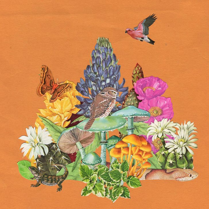 Monster Rally Releases ‘Escape to the Cloud Forest’ EP
