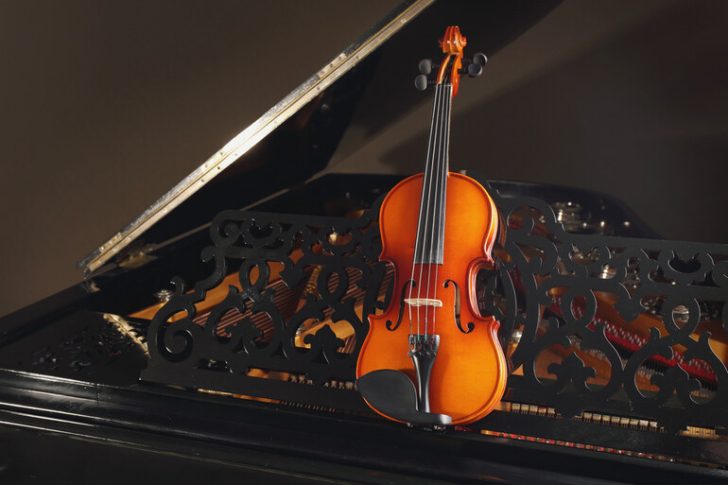 Why Protection for Your Violin Matters More Than You Think