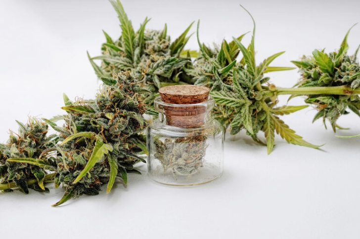 Cheap THCA Flower: Secrets to Finding Quality Online