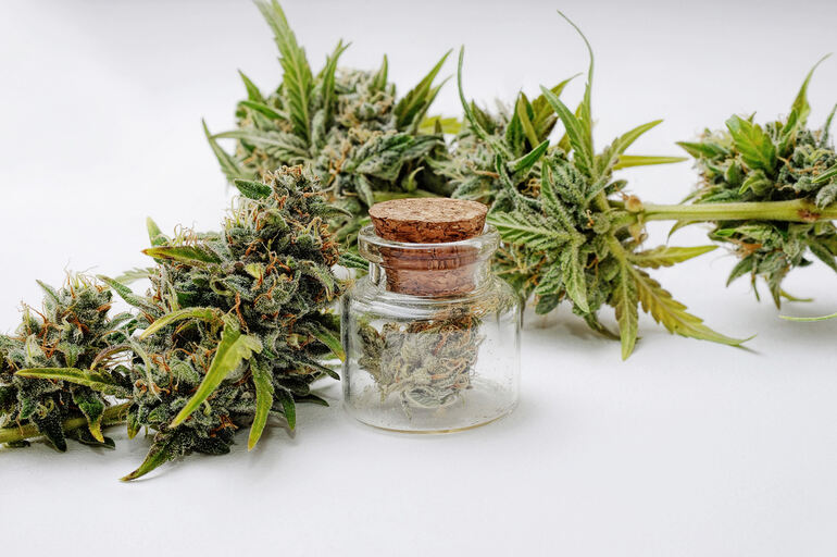 Close-up of THCA hemp flower buds with a glass jar on a white background