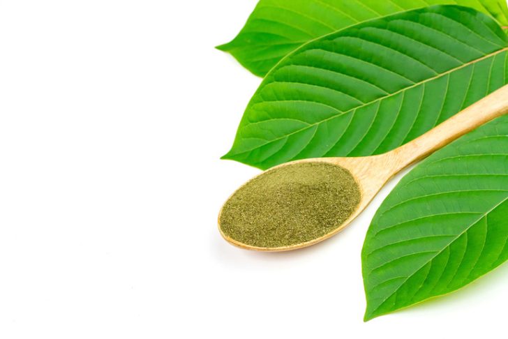 Kratom And Kava Wholesale Products By Mitra9: Florida Retailers Love The Buzz