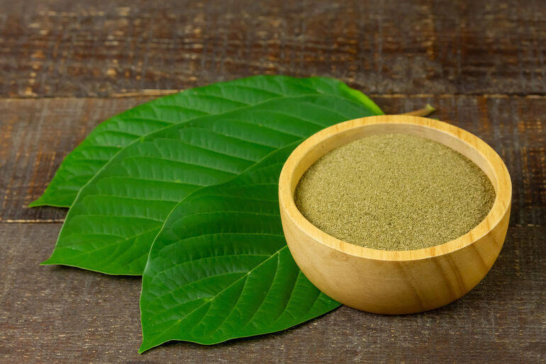 Bowl of kratom powder placed on fresh green kratom leaves