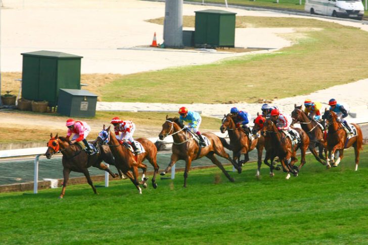 Live at the Derby: When Music Takes Center Stage at Horse Racing Events