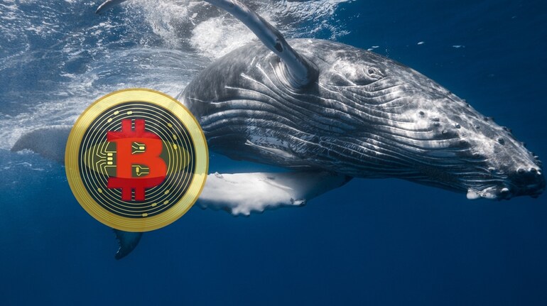 A massive whale swimming underwater with a prominent Bitcoin symbol overlay