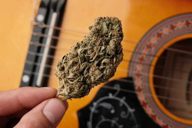 A music lover holding a cannabis bud in front of an acoustic guitar