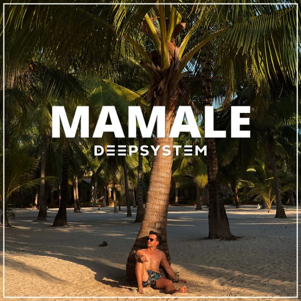 Cover of DEEPSYSTEM's Mamale
