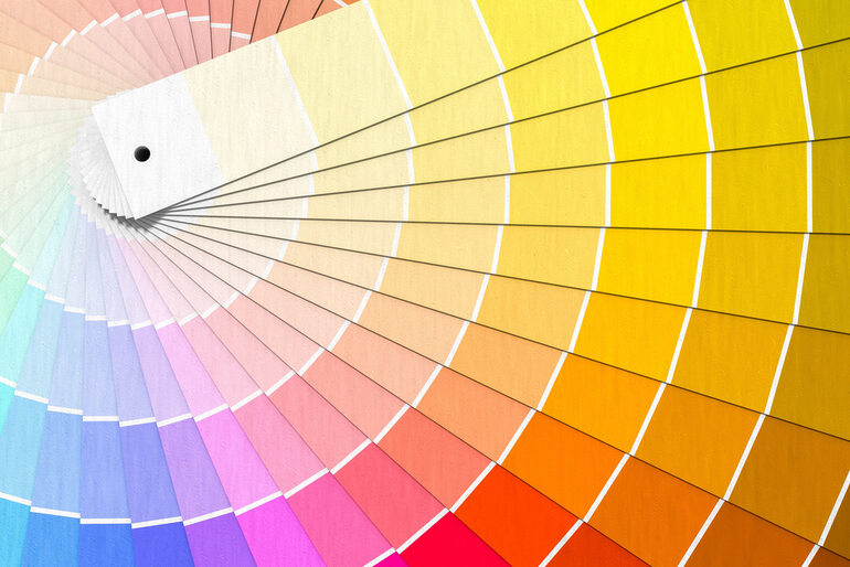 A color palette consisting of a set of colors