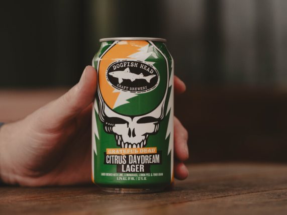 the can of grateful dead citrus day dream lager