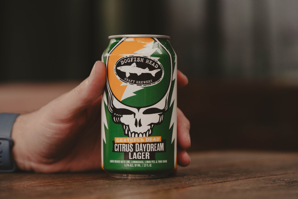 the can of grateful dead citrus day dream lager