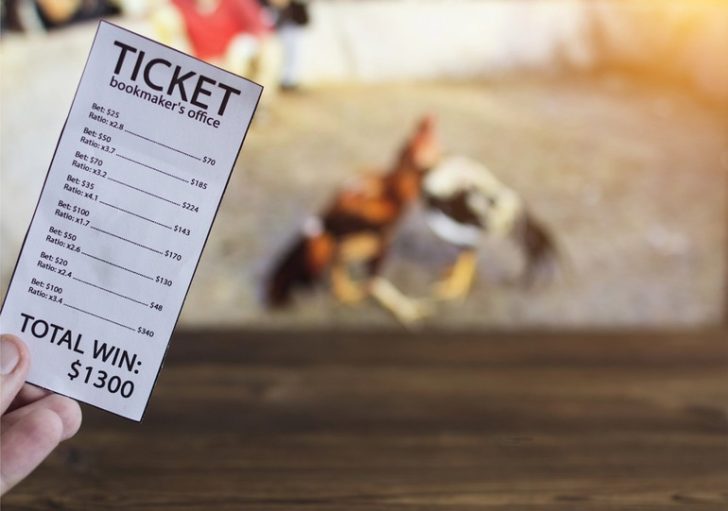 When Ticket Lotteries Turn Fans Into Lucky Winners