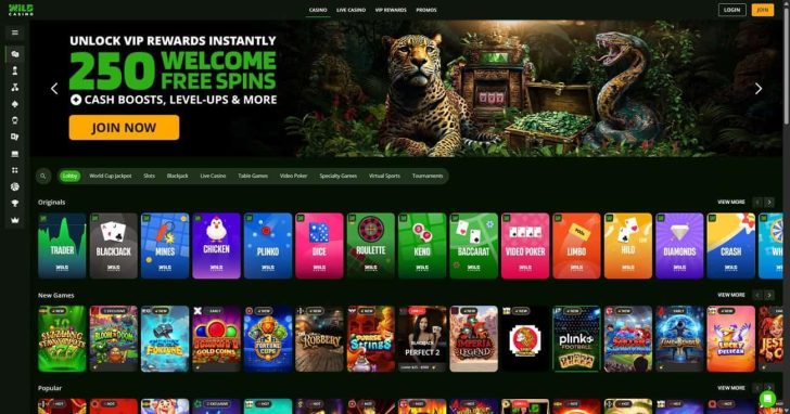 Wild Casino Review & Promo Codes: Best Wild Casino Sister Sites for Music-Loving Players